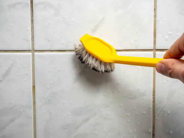 Best Mold Remediation  in Darlington, WI