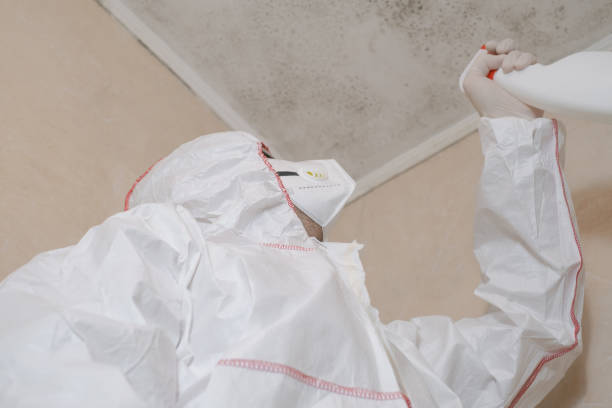 Best Office Mold Removal Services  in Darlington, WI